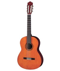 Đàn Guitar CGS102A