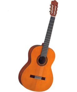 Đàn Guitar CGS103A