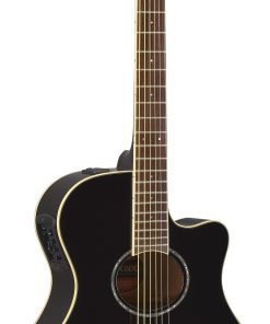 Đàn Guitar Acoustic APX600
