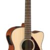 Acoustic Guitar FSX800C