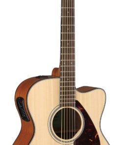 Acoustic Guitar FSX800C