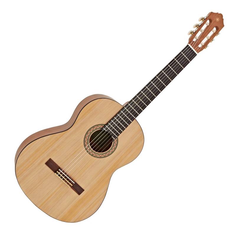 Classical Guitar C40M