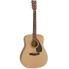 Acoustic Guitar F370