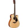 Aucostic Guitar FX370C